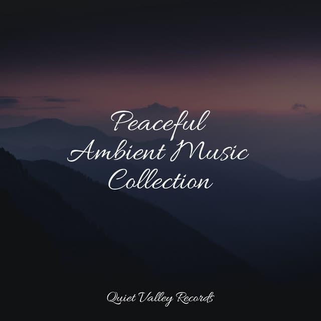 Peaceful Ambient Music Collection - Best Kids Songs