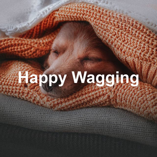 Happy Wagging - Dog Music Collective