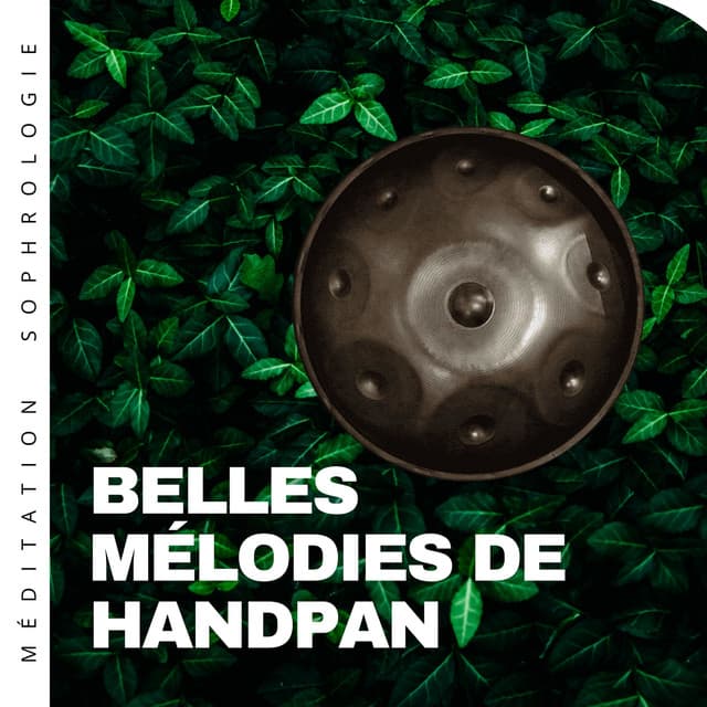 Belles mélodies de handpan - Méditation Sophrologie