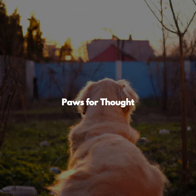 Paws for Thought - Easy Dinner Music
