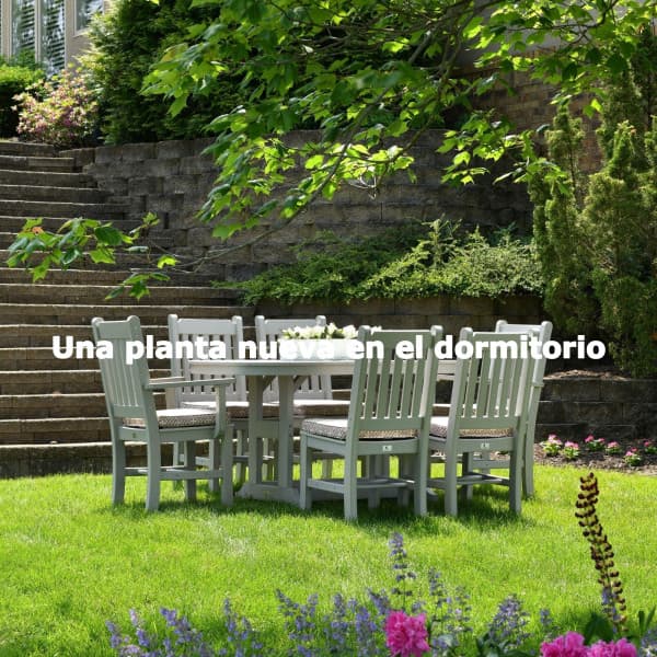 Una planta nueva en el dormitorio - Jazz Ambiente