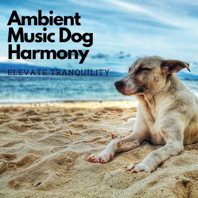 Ambient Music Dog Harmony: Elevate Tranquility - Path to Peace