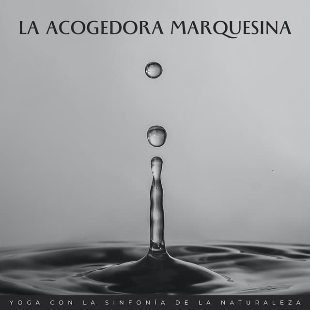 La Acogedora Marquesina: Yoga Con La Sinfonía De La Naturaleza - Naturaleza FX