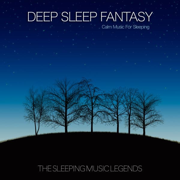 A Deep Sleep Fantasy - The Sleeping Music Legends