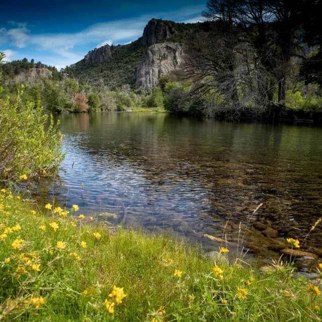 Relaxing Music Water: Lakeside Rhythms of Tranquility - Water and River Sounds