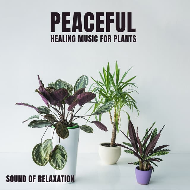 Peaceful Healing Music for Plants: Sound of Relaxation, Soft Rains for Flowers on Earth - Relieving Stress Music Collection