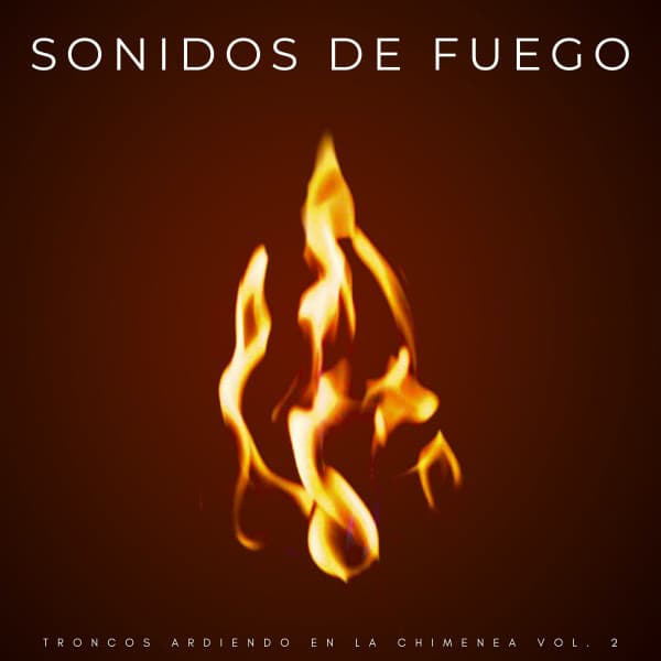 Sonidos De Fuego: Troncos Ardiendo En La Chimenea Vol. 2 - Terrícola