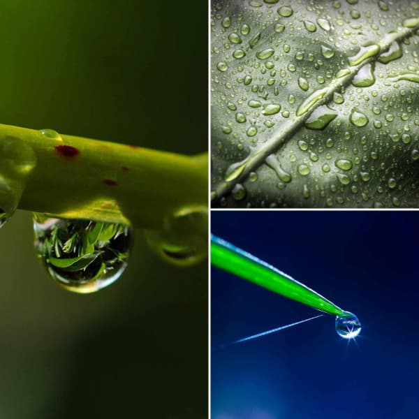 Refined Ambiance for Cozy Wednesday - Música Chill para Cafés