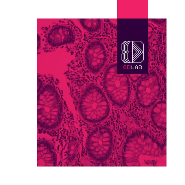 Sonidos Tranquilos - 8D Lab - Música Relajante