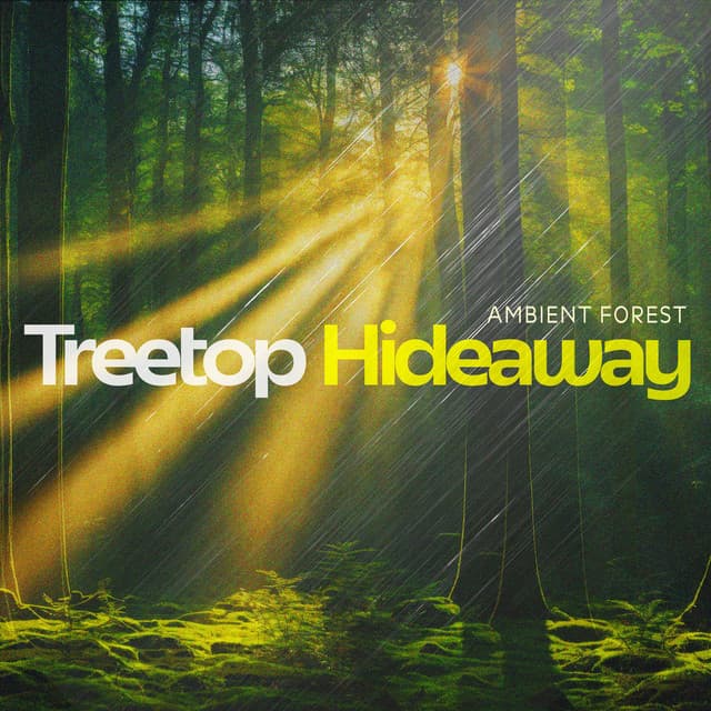 Treetop Hideaway - Ambient Forest