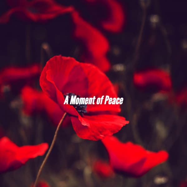A Moment of Peace - Easy Listening Jazz