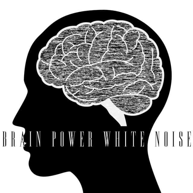 Brain Power White Noise - White Noise Collection