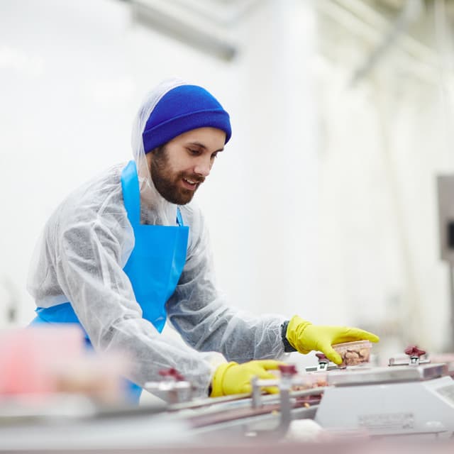 Lofi Workday: Calm Melodies for Productivity - Lofi For Coding