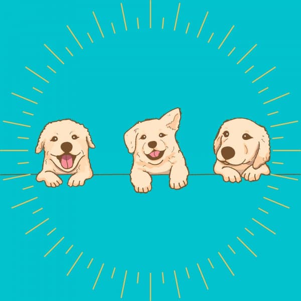 Music for A Gentle Pup - Doggy Music