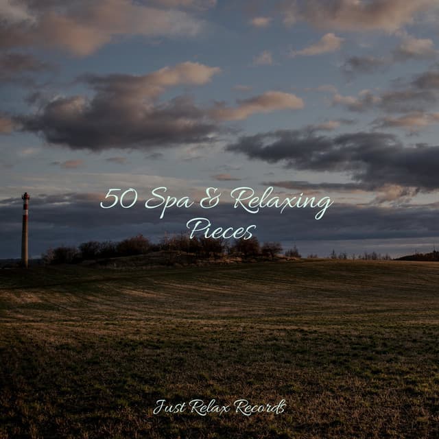 50 Spa & Relaxing Pieces - Yoga Music