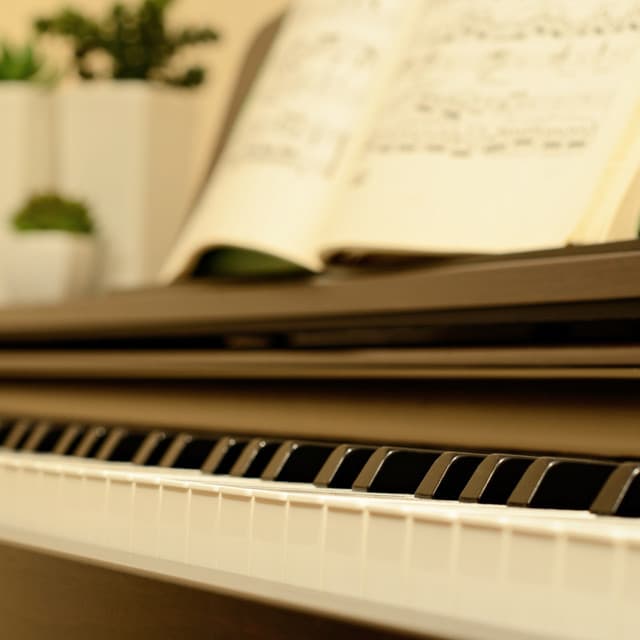 Meditation Whispers on Piano: Tranquil Harmony - Tranquil Piano