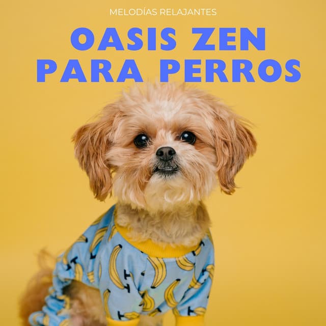 Oasis Zen Para Perros: Melodías Relajantes - Lista de reproducción para la hora de la cena