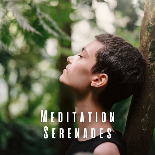 Meditation Serenades: Harmonic Pathways to Inner Calm - 1 Hour Meditation