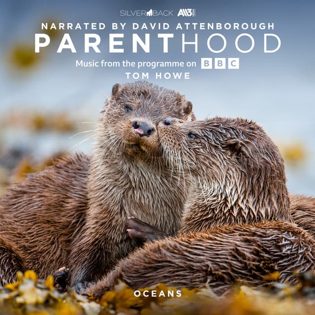 Parenthood: Oceans - Tom Howe