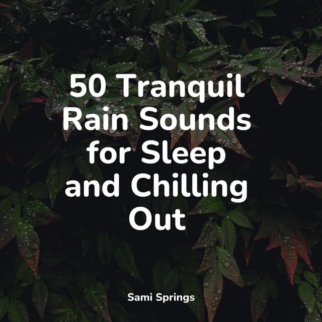50 Tranquil Rain Sounds for Sleep and Chilling Out - Sleep Meditation Dream Catcher