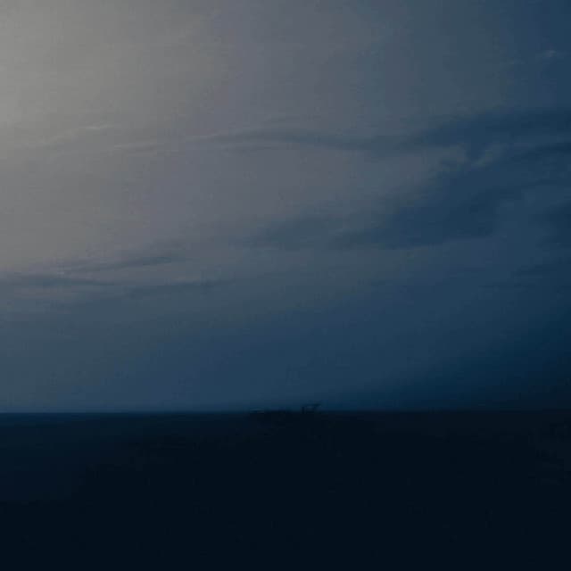 Moonlight - Michael McHale