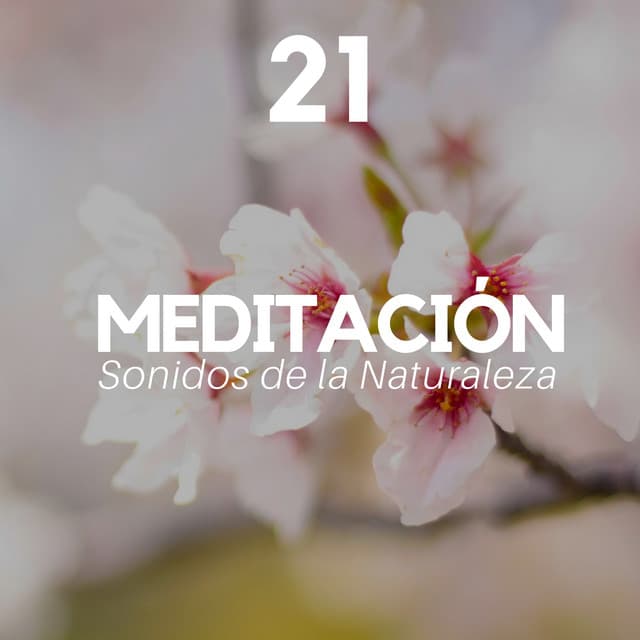 21 Meditación - Música de Fondo para Meditar, Sonidos de la Naturaleza, Música - Sueño Real