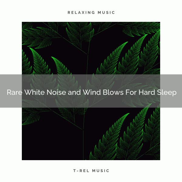 2020 Best: Rare White Noise and Wind Blows For Hard Sleep - White Noise Radiance