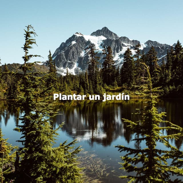 Plantar un jardín - Easy Sunday Morning Music