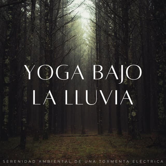 Yoga Bajo La Lluvia: Serenidad Ambiental De Una Tormenta Eléctrica - Tormentas Naturales