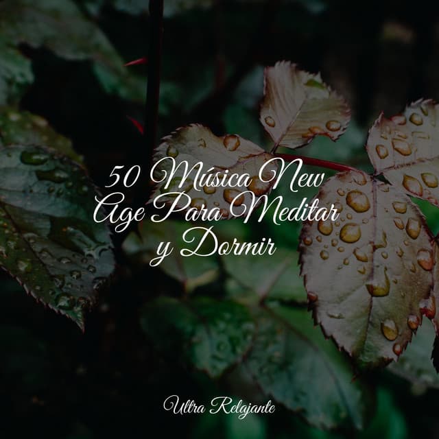 50 Música New Age Para Meditar y Dormir - Musicas Crianças