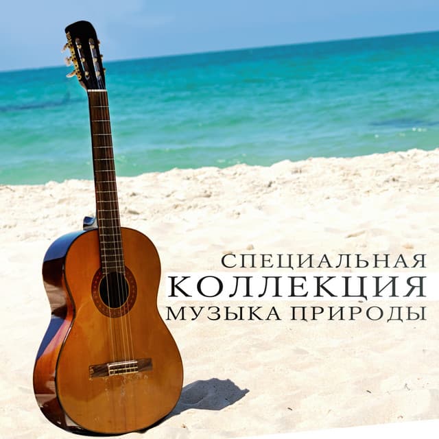 Специальная коллекция: Музыка природы, Красивые гитарные песни, Отличное самочувствие и настроение, Успокойте свои эмоции, Вечерний релакс - Nature Collection