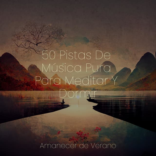 50 Pistas De Música Pura Para Meditar Y Dormir - Musica para Dormir 101