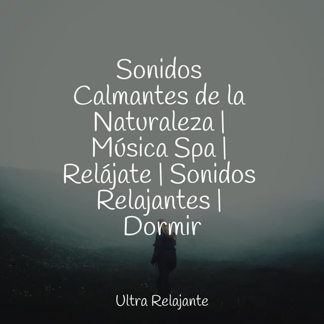 Sonidos Calmantes de la Naturaleza | Música Spa | Relájate | Sonidos Relajantes | Dormir - Sons da Natureza Relax