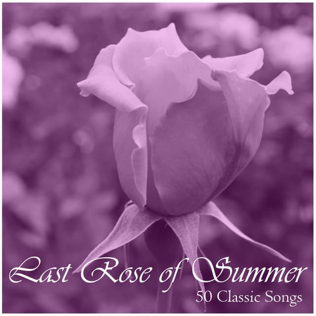 Last Rose of Summer: 50 Classic Songs - Piano Music Experts