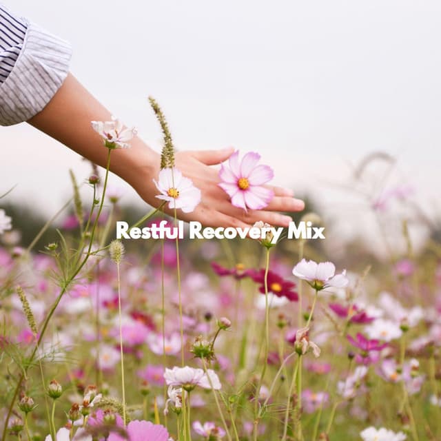 Restful Recovery Mix - Sunday Brunch Music