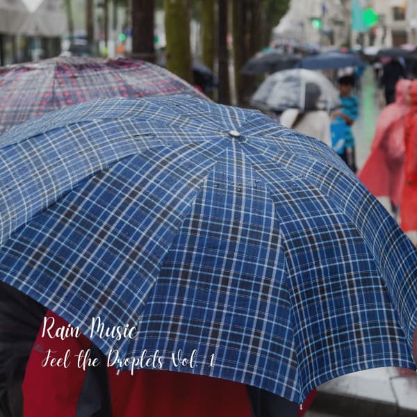 Rain Music: Feel the Droplets Vol. 1 - Rain Sound Experience