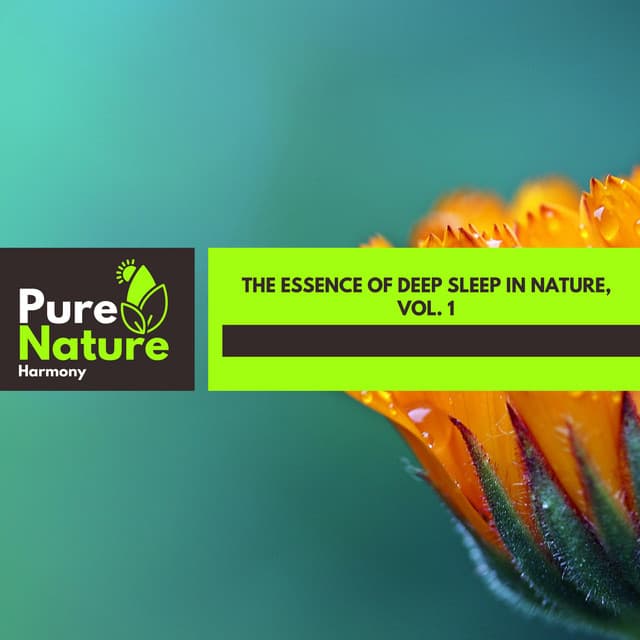 The Essence of Deep Sleep in Nature, Vol. 1 - Nature Field Recordings