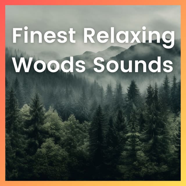 Forest Sounds Channel