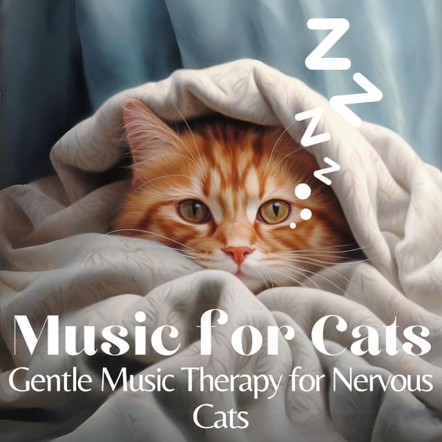 Music for Cats - Gentle Music Therapy for Nervous Cats - Relax My Cat