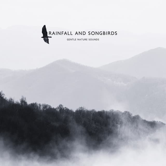 Rainfall and Songbirds: Gentle Nature Sounds for Wellbeing, Mental and Physical Balance, Deep Relaxation. Healing Back to Nature - Nature Music Sanctuary