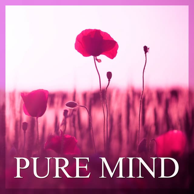Pure Mind – Beautiful New Age Music for Relaxation Body, Soul & Mind, Healing Sounds of Birds and Drops Water, Relaxing Therapy, Peaceful Music for Rest after Hard Day, Nature Sounds - Relaxing Music Guys
