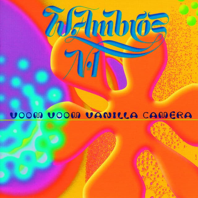 Voom Voom Vanilla Camera - Wolfgang Ambros