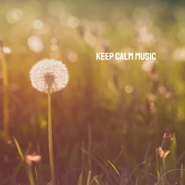 Keep Calm Music - Relaxation And Meditation