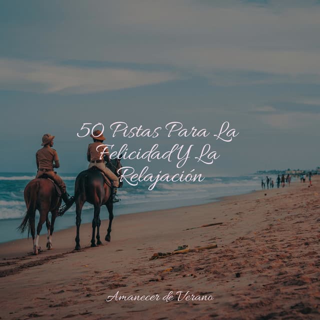 50 Pistas Para La Felicidad Y La Relajación - Rising Higher Meditation