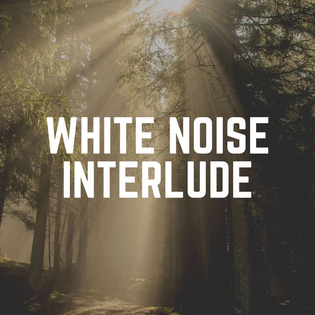 White Noise Interlude - White Noise Radiance
