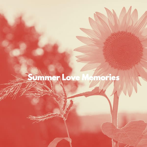 Summer Love Memories - Office Music Lounge