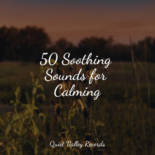 50 Soothing Sounds for Calming - It's Raining