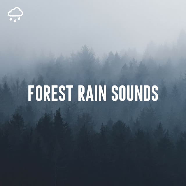 Forest Rain Sounds - Relaxing Rain Recordings