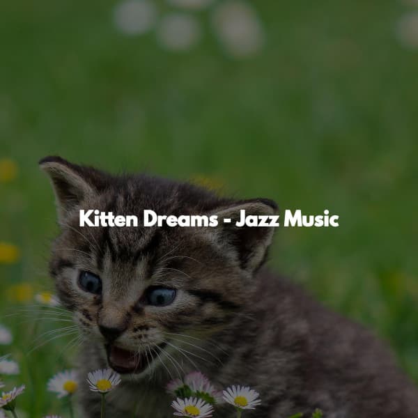 Kitten Dreams - Jazz Music - Morgen Jazz Ambiente