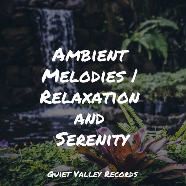 Ambient Melodies | Relaxation and Serenity - Música Zen Relaxante